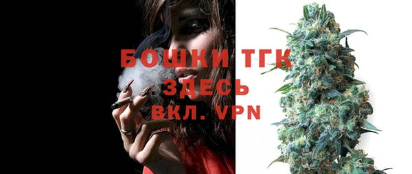 соль ск Алексеевка