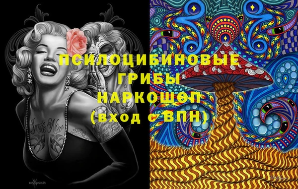 соль ск Алексеевка
