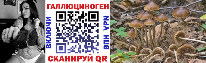 как найти закладки  Анива  Галлюциногенные грибы Cubensis 